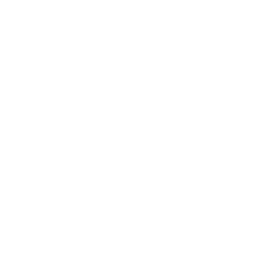 Ples - Monopole Studio Tjaša Skubic